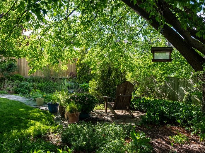 A lush, green shade garden in a backyard in Oregon.