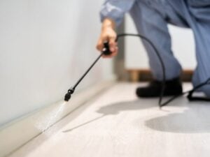 A man sprays his home to protect against mositure loving bugs.