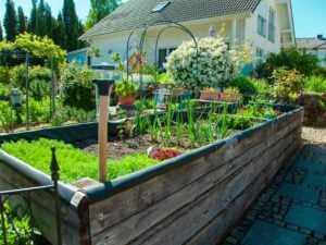 A home with a backyard homestead and rasied vegetable beds.