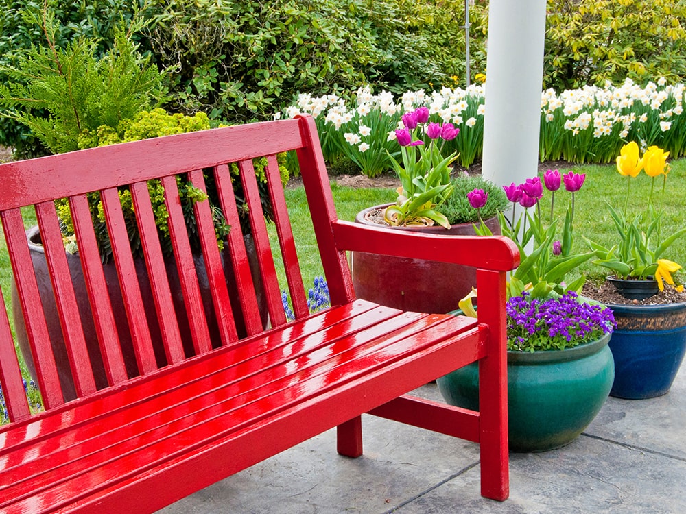 Container Gardening with Mike Darcy Blog