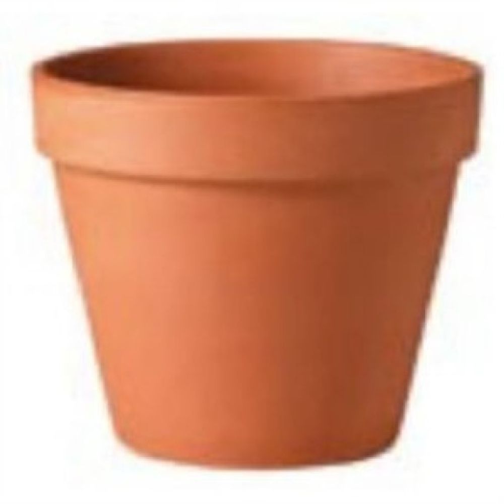 Deroma, Terracotta Clay Planter 