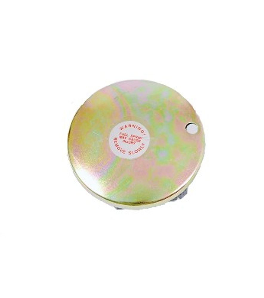 DeeZee Tank Vented Cap