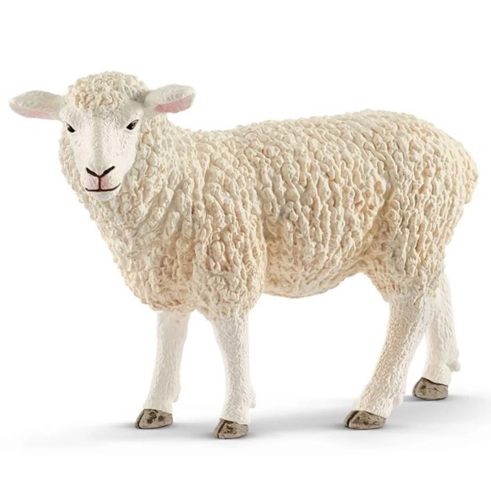 Schleich, Sheep Toy Figure, 13882