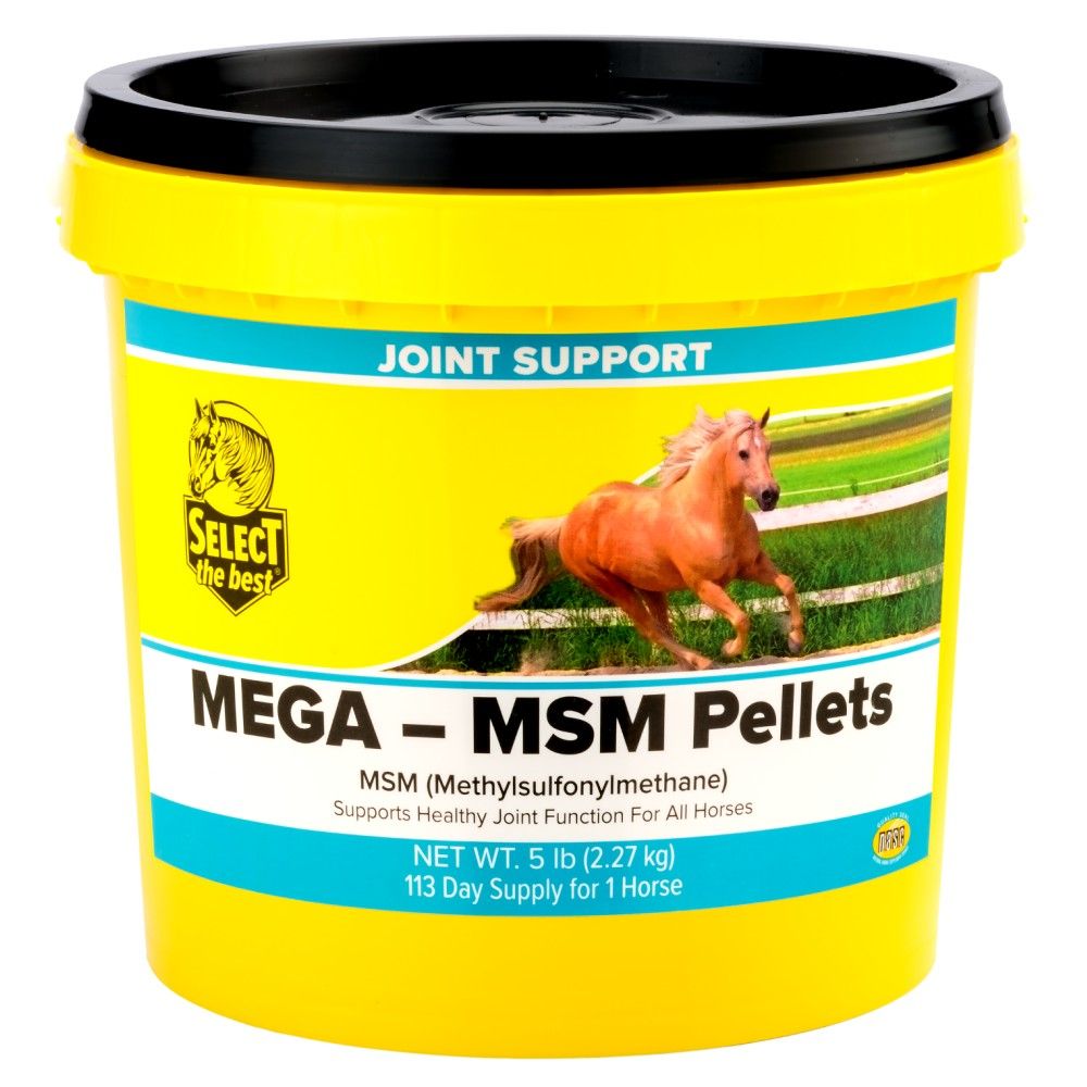 Select the Best, MEGA-MSM Pellets, 5 lb