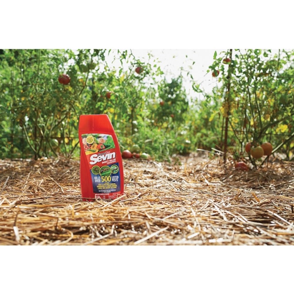Sevin 100523633 Insect Killer, 16 oz