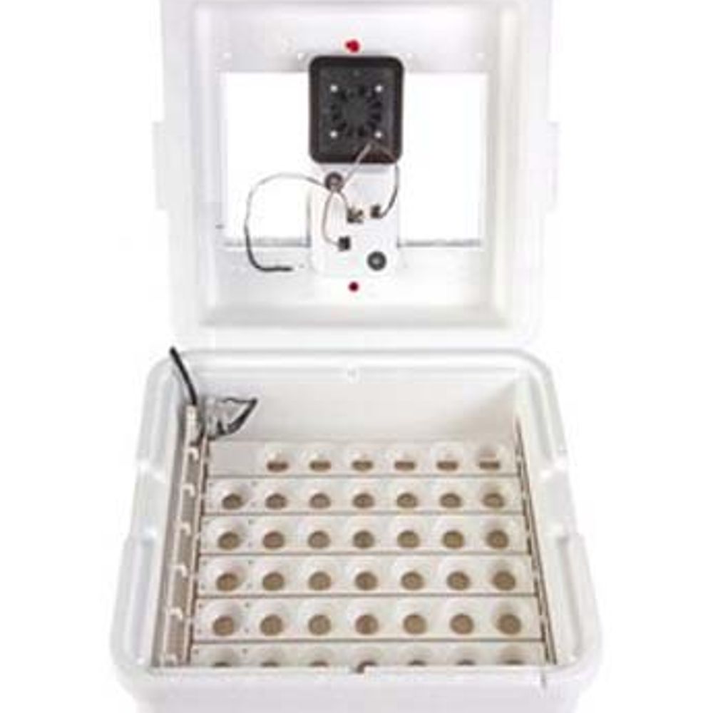 Little Giant, Deluxe Incubator with Egg Turner