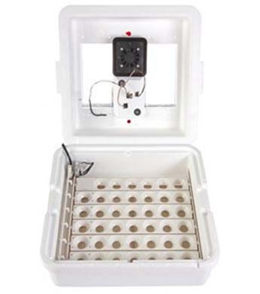 Little Giant, Deluxe Incubator with Egg Turner