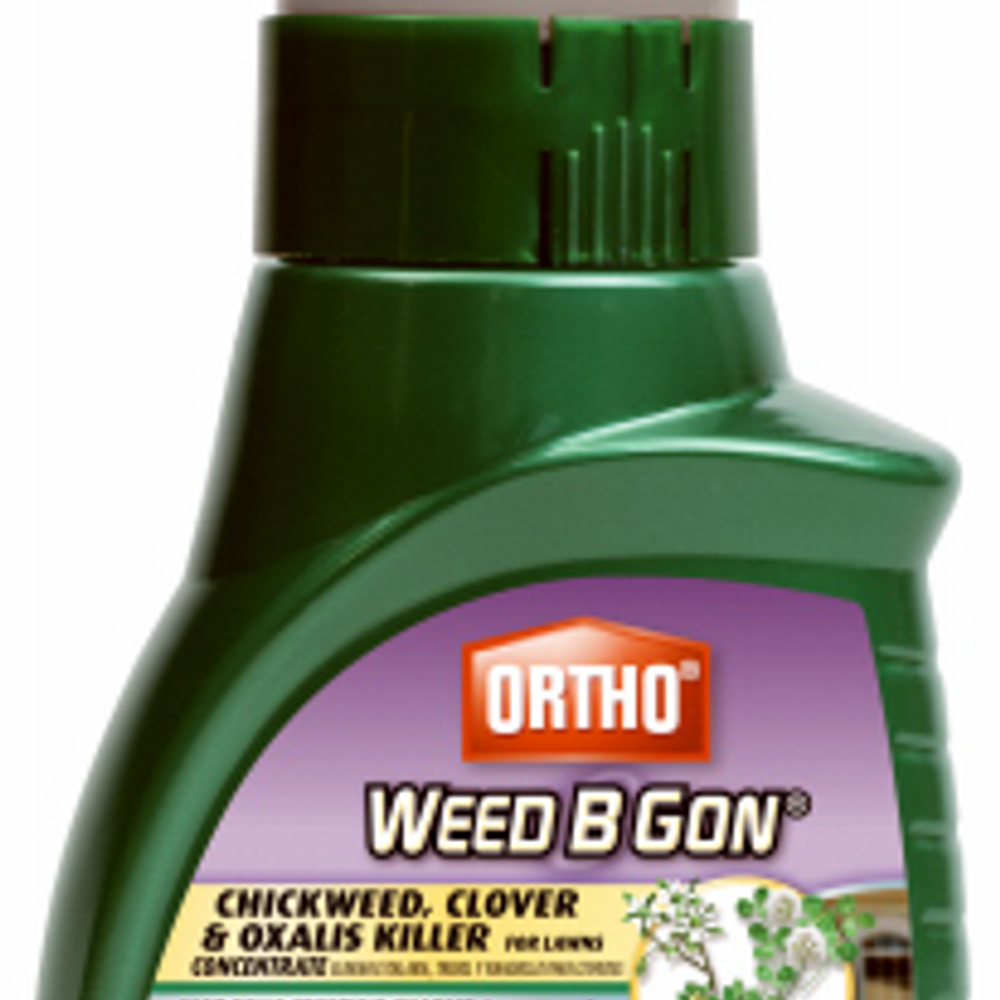 Ortho WEED B GON 0396410 Clover and Oxalis Killer, Liquid, 16 oz Bottle