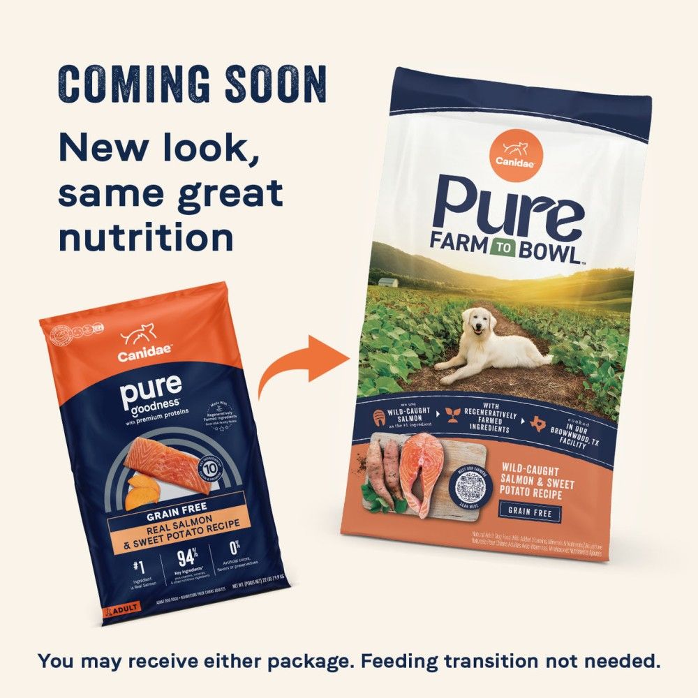 Canidae, Pure Grain Free Salmon & Sweet Potato Recipe Dog Food