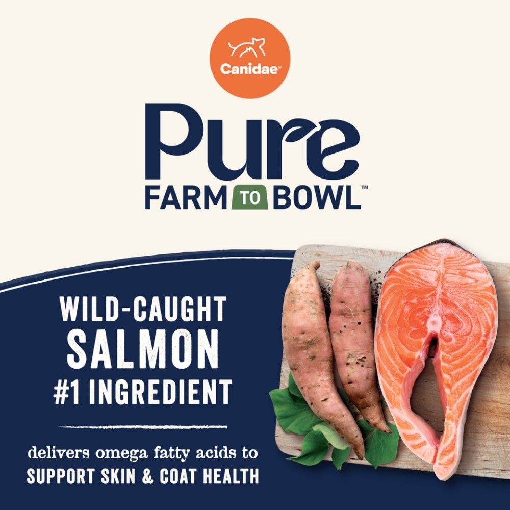 Canidae, Pure Grain Free Salmon & Sweet Potato Recipe Dog Food