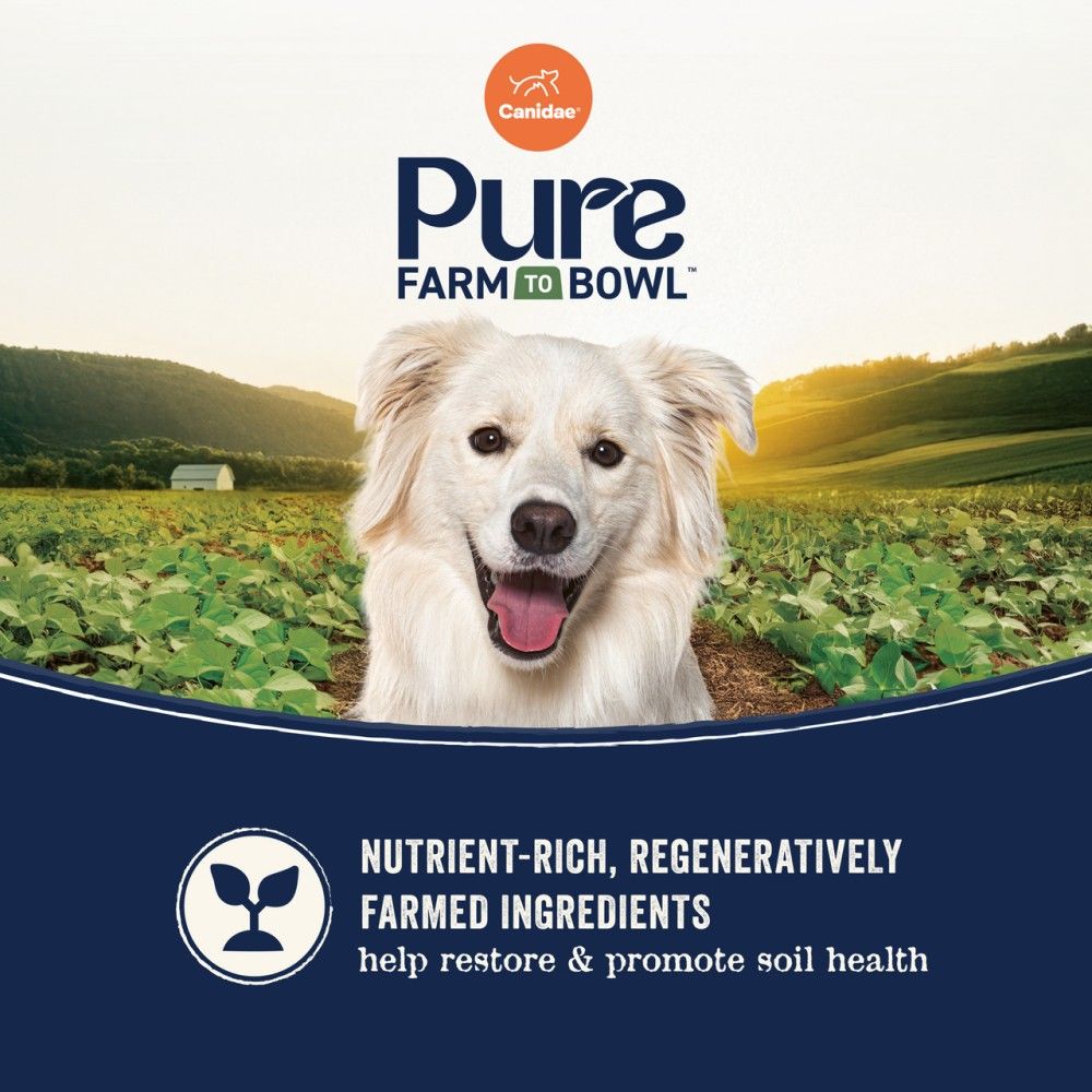 Canidae, Pure Grain Free Salmon & Sweet Potato Recipe Dog Food