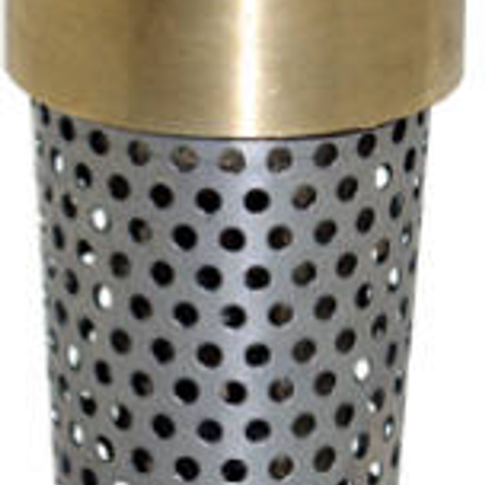 Water Source Foot Valve, Brass, 1-In.