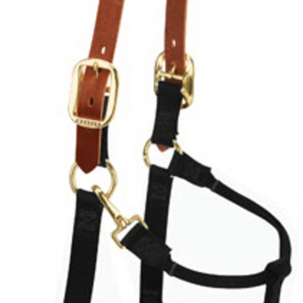 Weaver Leather Horse Halter, Breakaway, Black Nylon/Leather, 1-In., Large/ 2-Year Draft