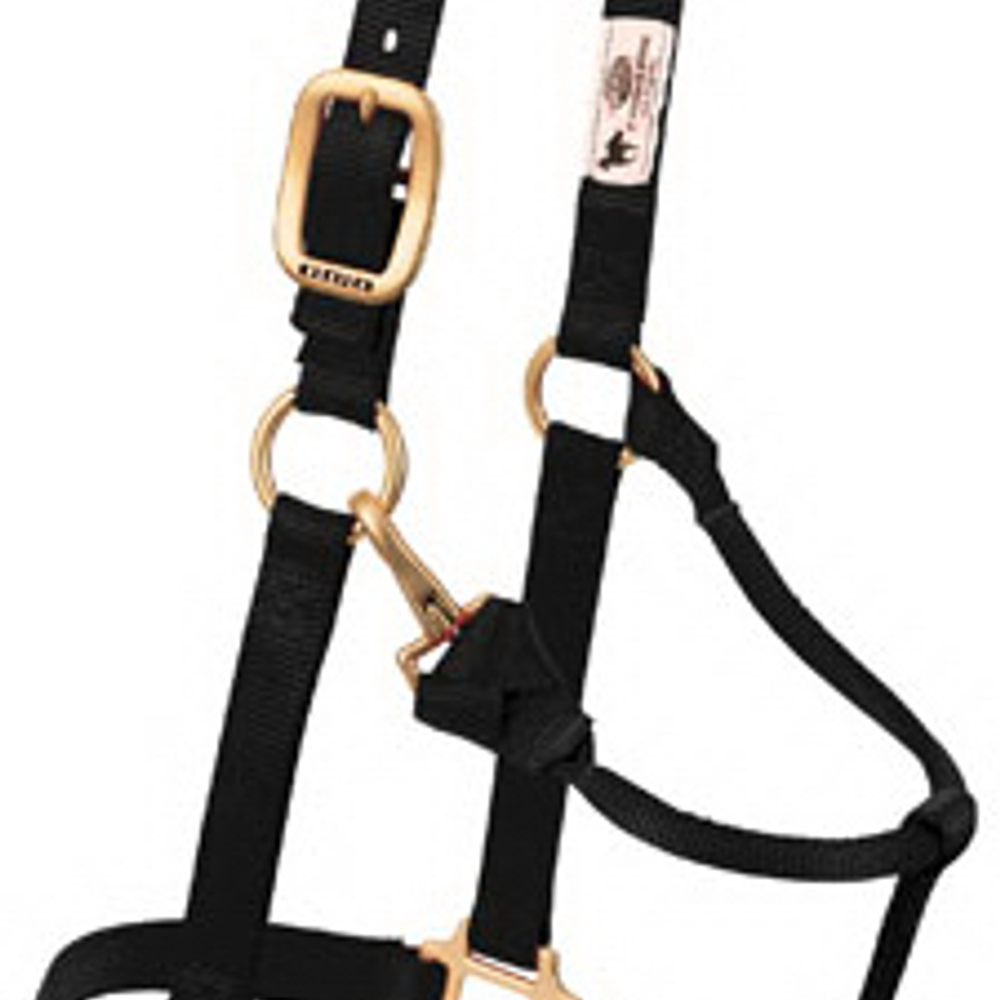 Weaver Leather Horse Halter, Snap, Black Nylon, 1-In., Large/2-Year Draft