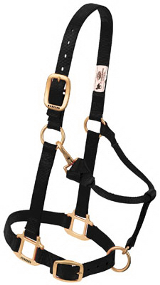 Weaver Leather Horse Halter, Snap, Black Nylon, 1-In., Large/2-Year Draft