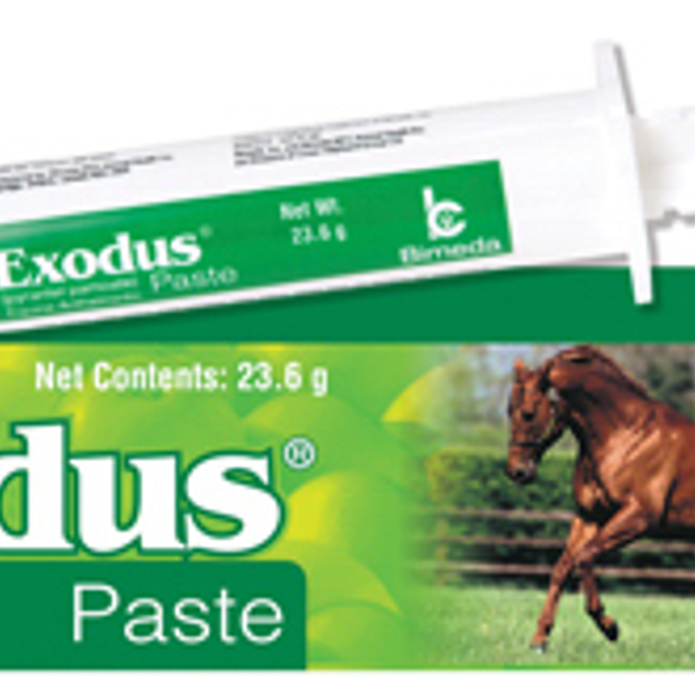 Durvet, Exdous Pyrantel Horse Wormer Paste, 23.6 g.