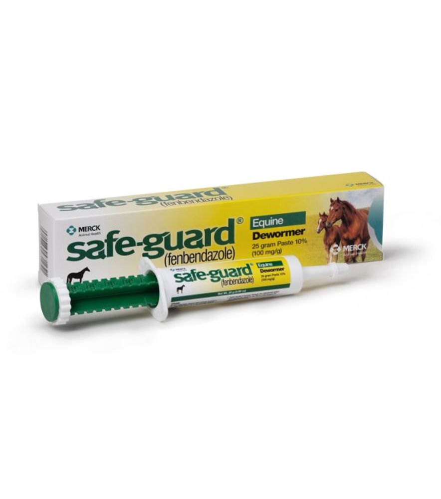 Safe-Guard, Horse Dewormer 10% Paste, 25 gm
