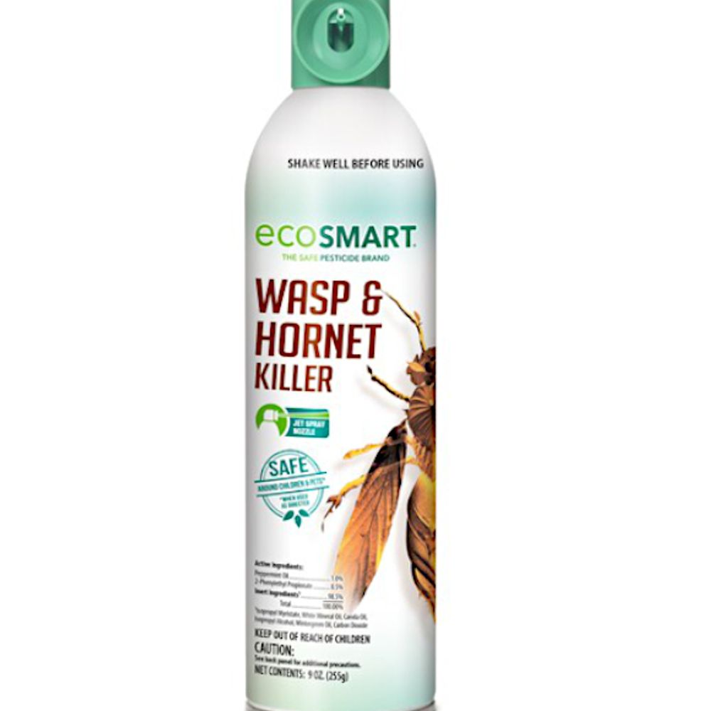 Ecosmart Wasp & Hornet Killer, 9-oz.