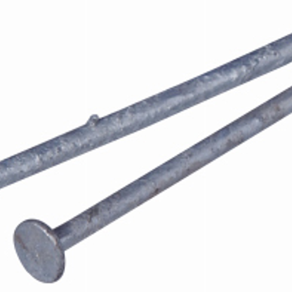 Hillman Galvanized Common Nail, 2.5-In., 8-D, 1-Lb.