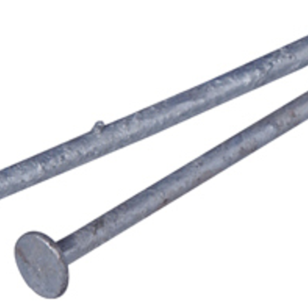 Hillman Galvanized Common Nail, 3-In., 10-D, 1-Lb.