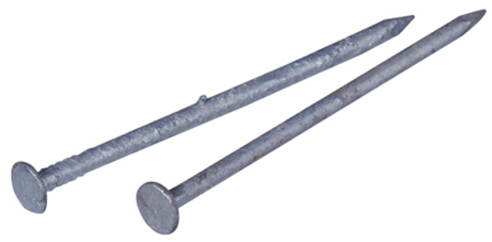 Hillman Galvanized Common Nail, 3-In., 10-D, 1-Lb.