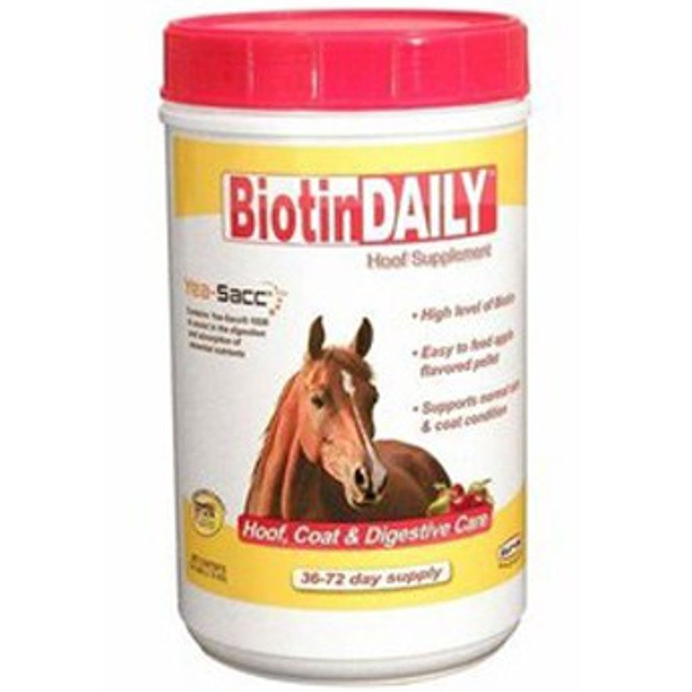 Durvet, Biotin Daily, 2.5 lb