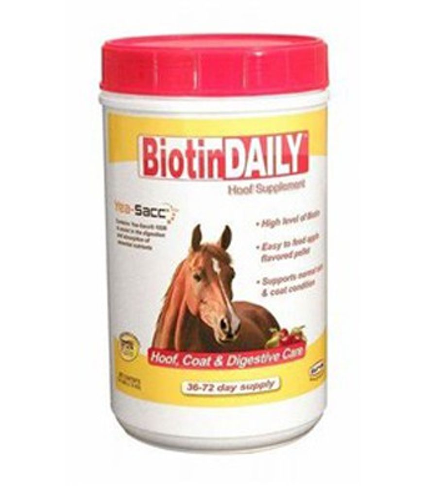 Durvet, Biotin Daily, 2.5 lb