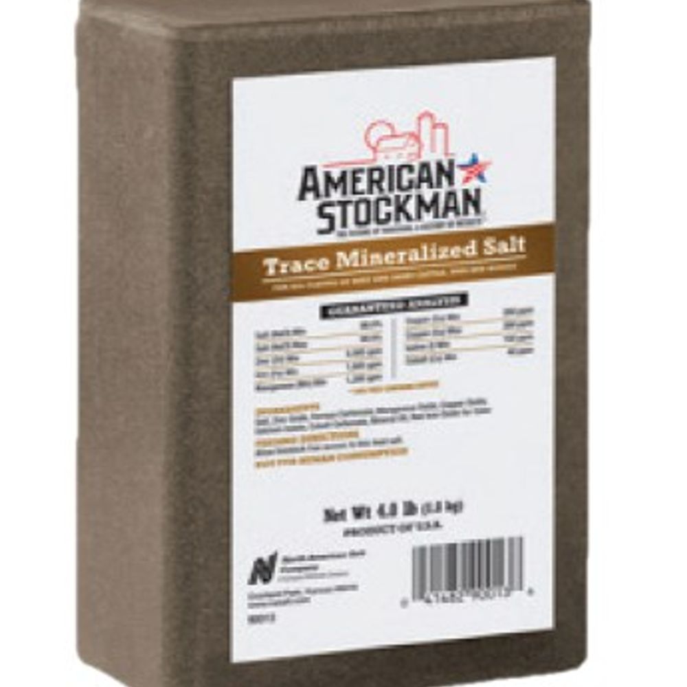 Trace Mineral Salt Brick 4 lb.