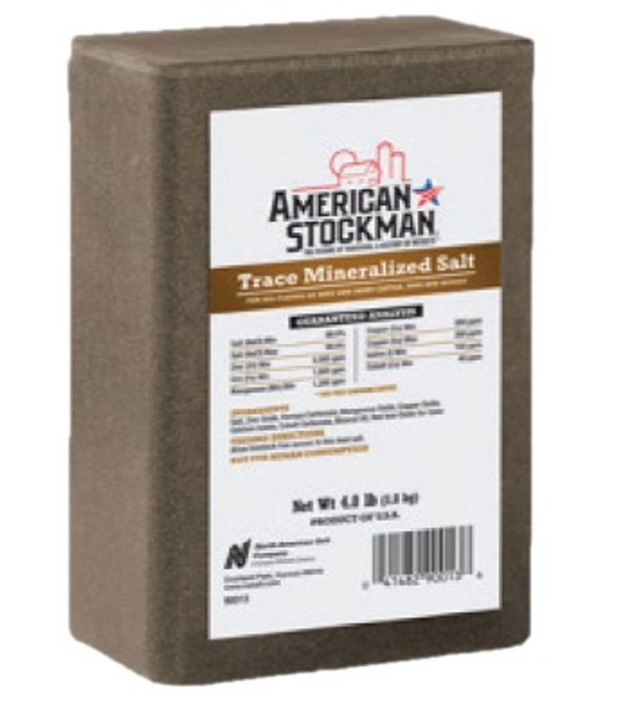 Trace Mineral Salt Brick 4 lb.