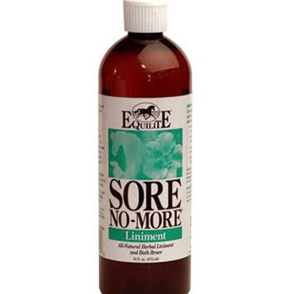 Arenus Sore No-More Liniment, 16 oz.