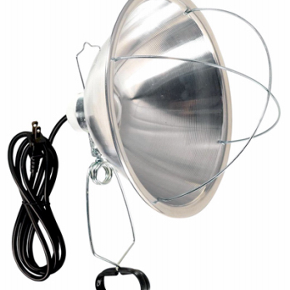 Master Electrician, Brooder Light With 10-In. Reflector Shade, 300-Watts