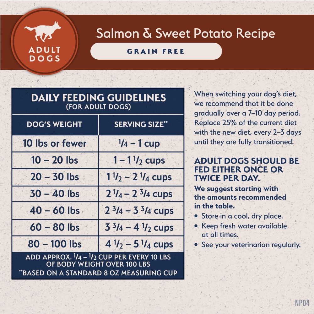 Natural Balance, Salmon & Sweet Potato Grain Free Recipe, 24 lb