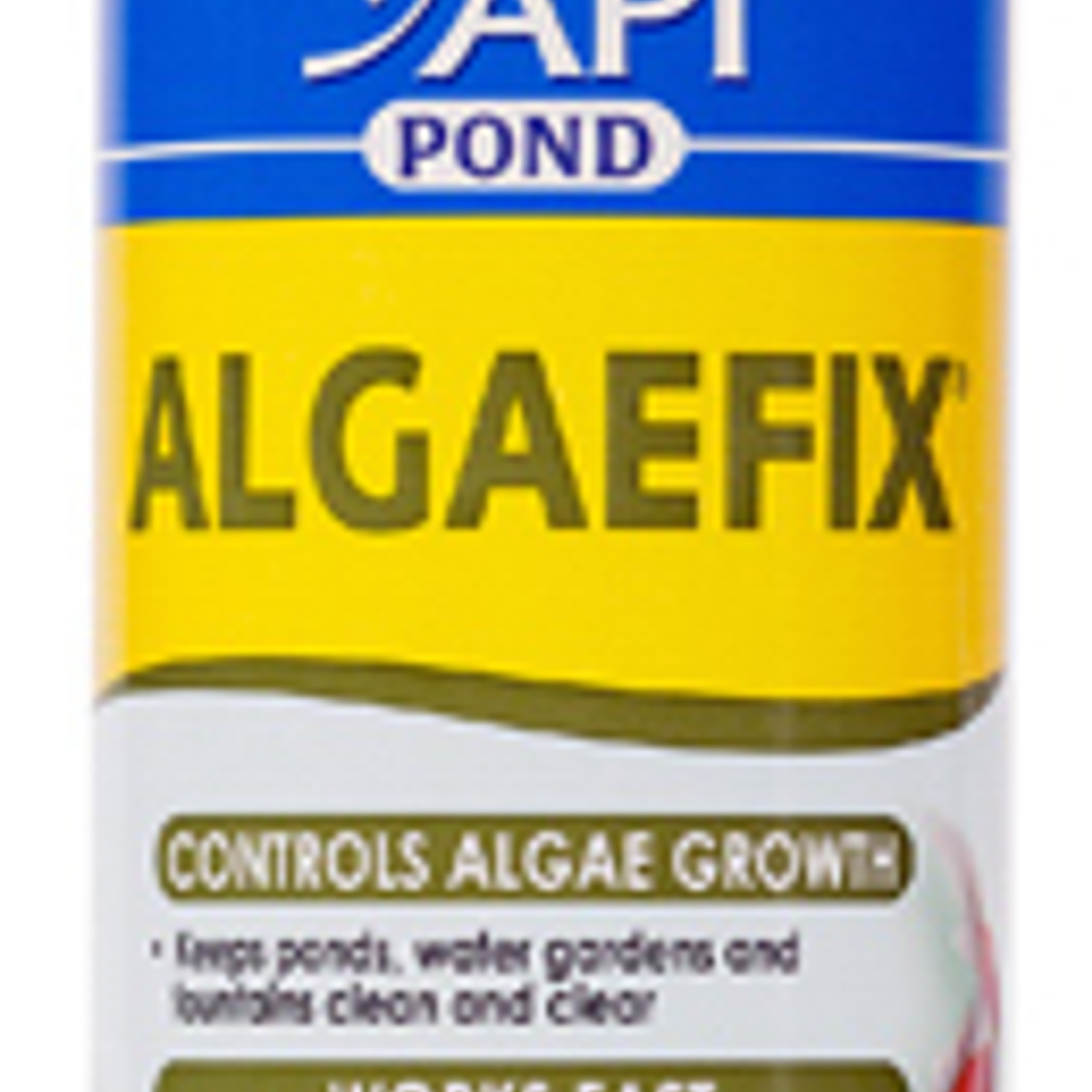 API Pond Algaefix Algae Control Solution, 16-oz.