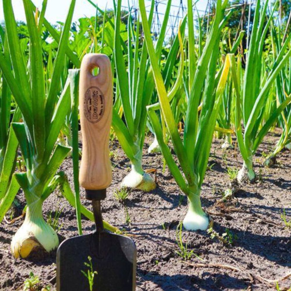 DeWit Forged Trowel
