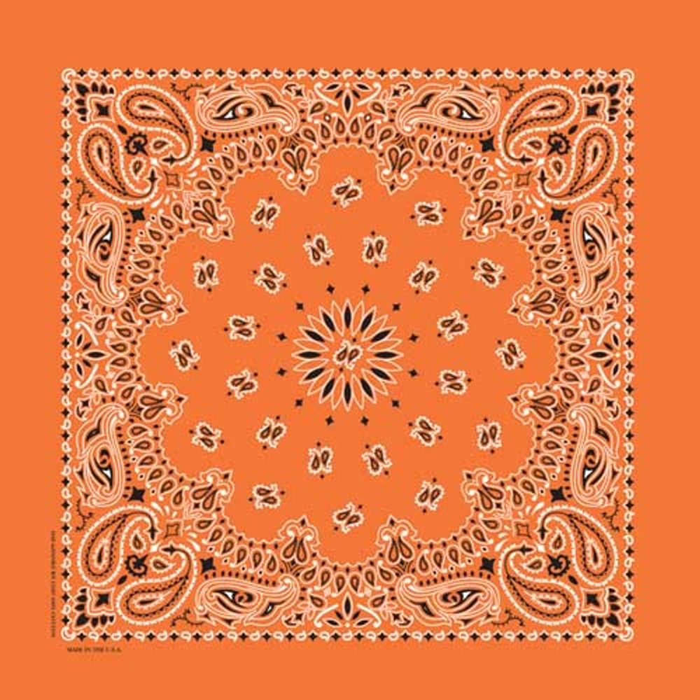 Traditional Paisley Bandana, Multiple Colors