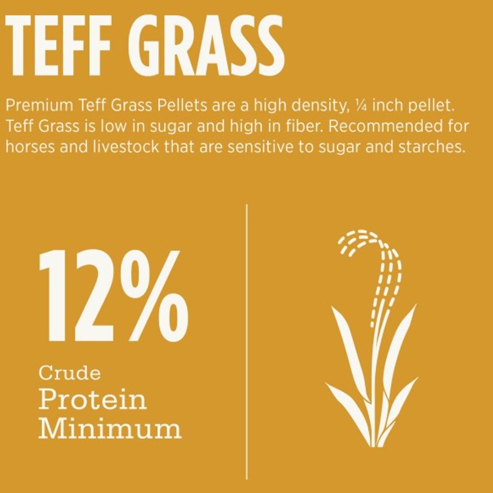 Standlee, Premium Teff Hay Pellets, 40 lb