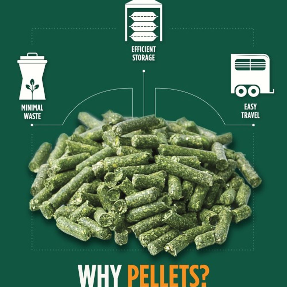 Standlee, Premium Teff Hay Pellets, 40 lb