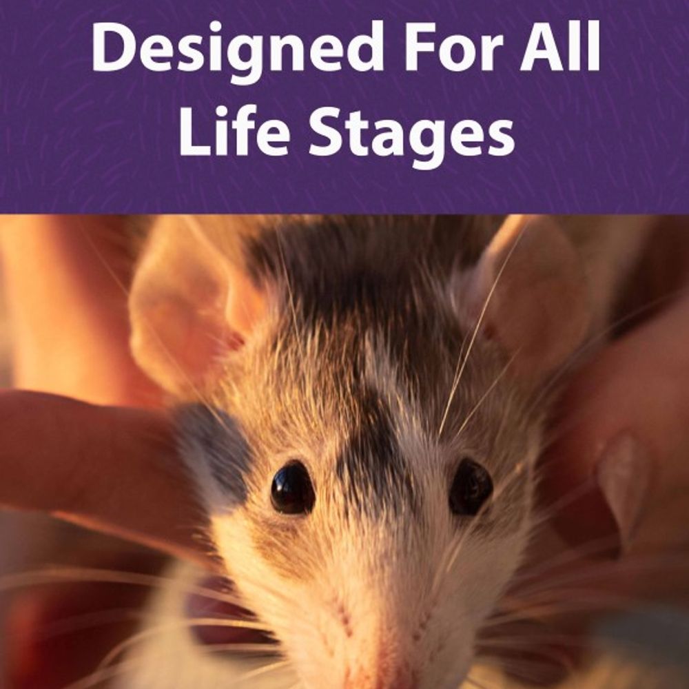 Mazuri, Rat & Mouse Diet, 25 lb