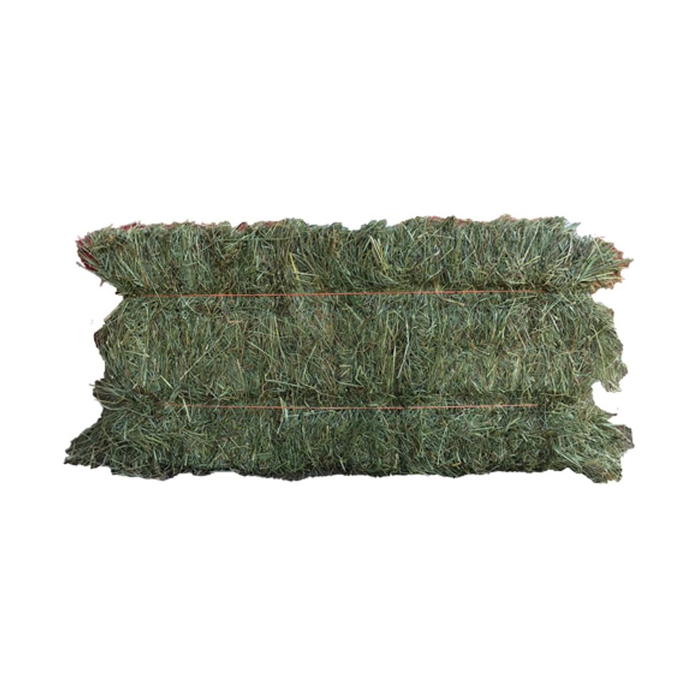 Teff Hay Bale, 80 lb