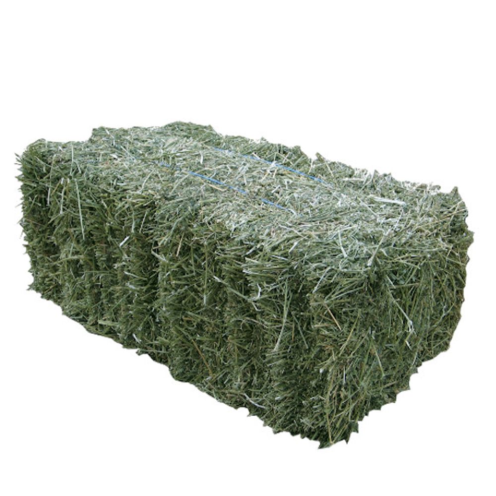 Timothy Grass Hay Bale