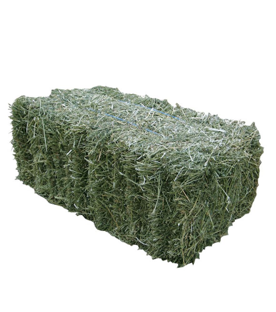 Timothy Grass Hay Bale