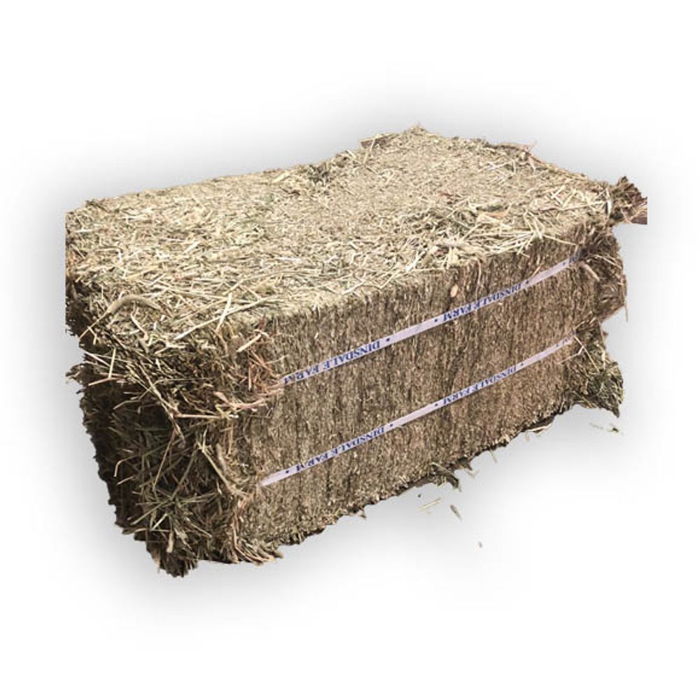 Compressed Timothy Grass Hay Bale