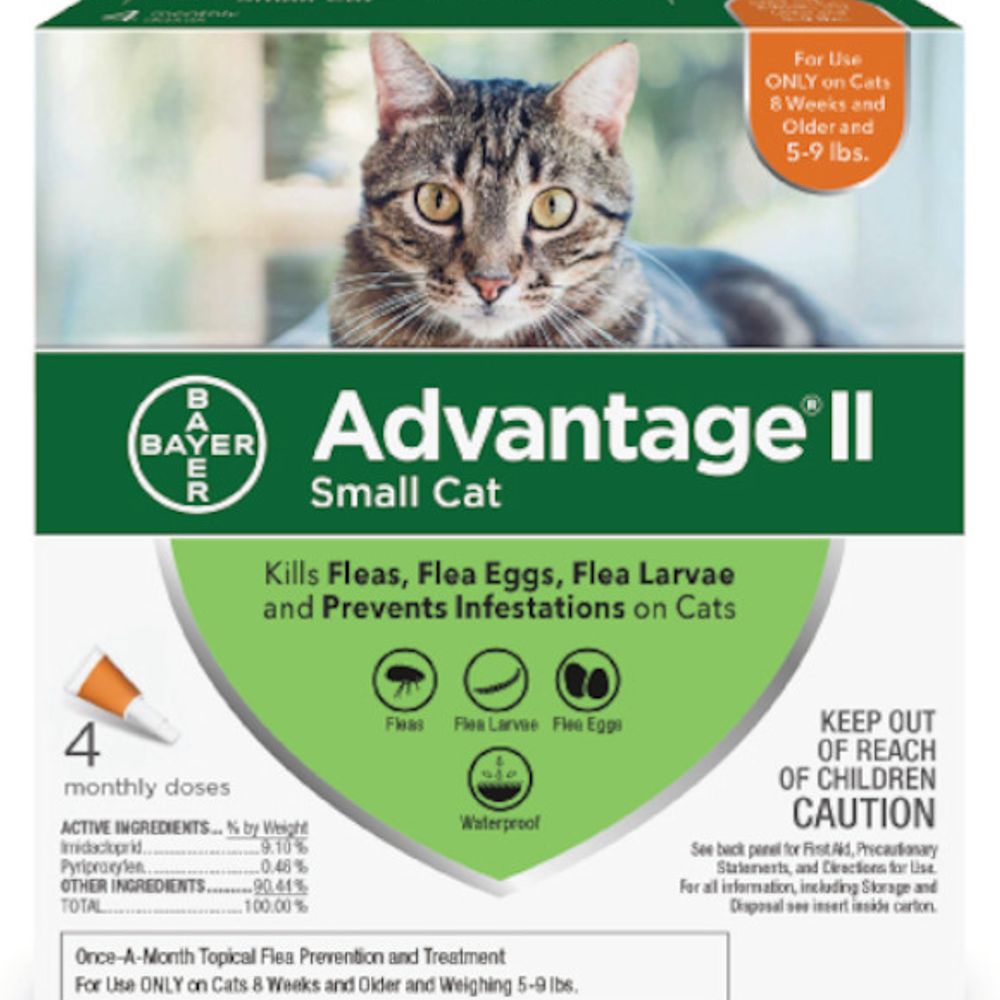 Advantage II for Small Cats, 4 pack