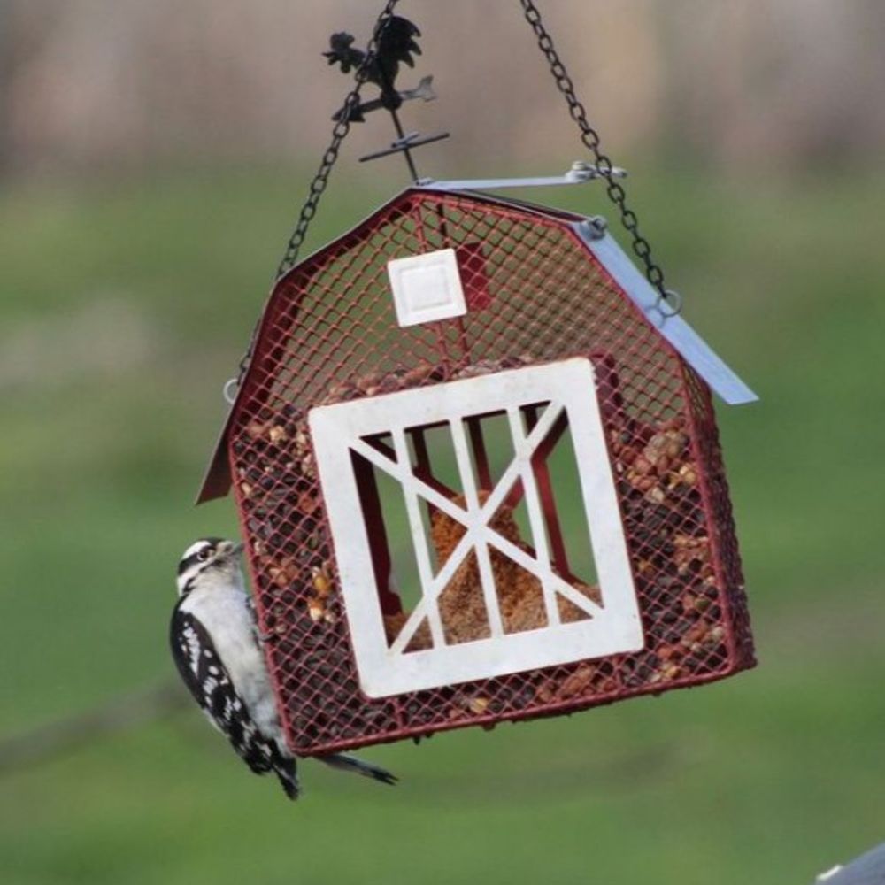 Mesh Barn Bird Seed & Suet Feeder, GEF1013