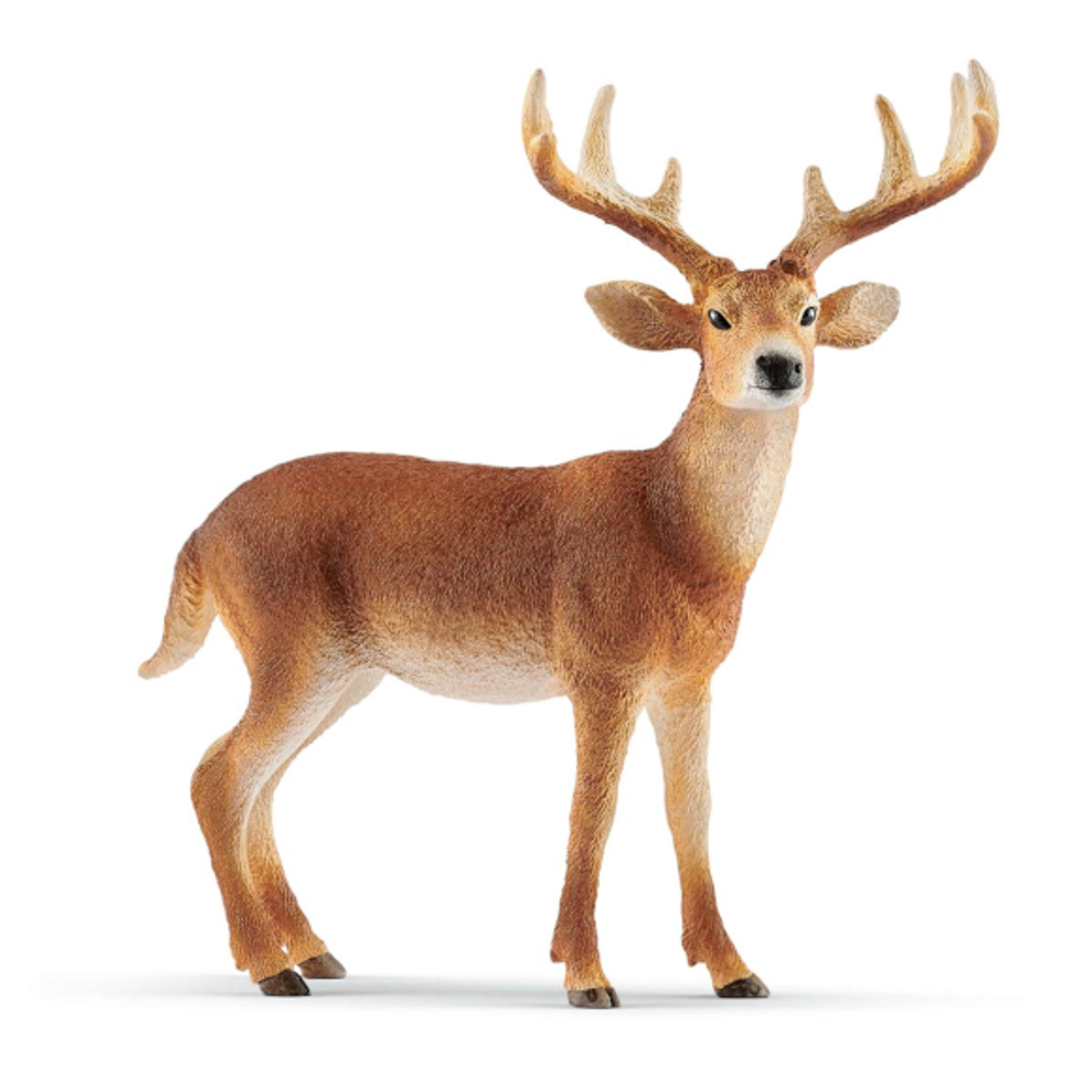 Schleich, White-Tailed Buck Toy Figure, 14818