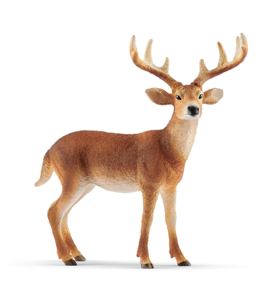 Schleich, White-Tailed Buck Toy Figure, 14818