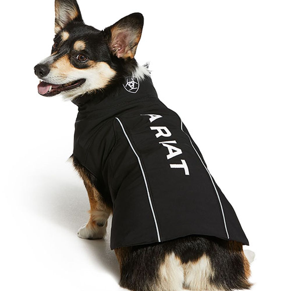 Ariat, Team Softshell Dog Jacket
