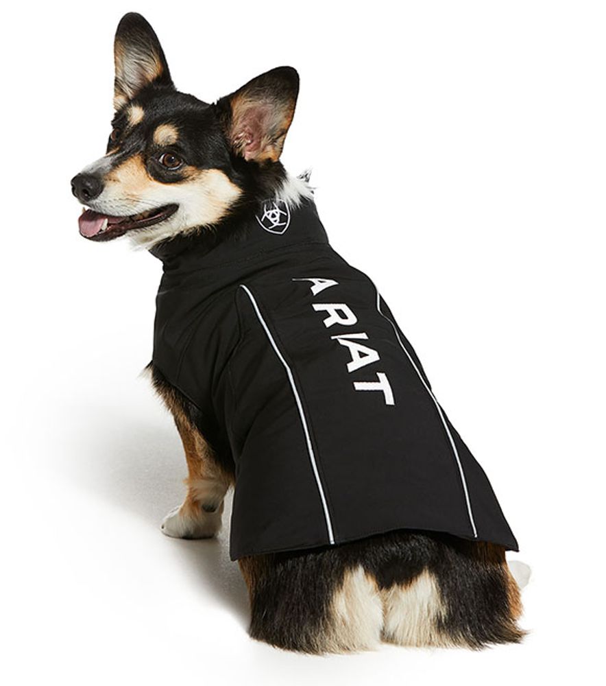Ariat, Team Softshell Dog Jacket