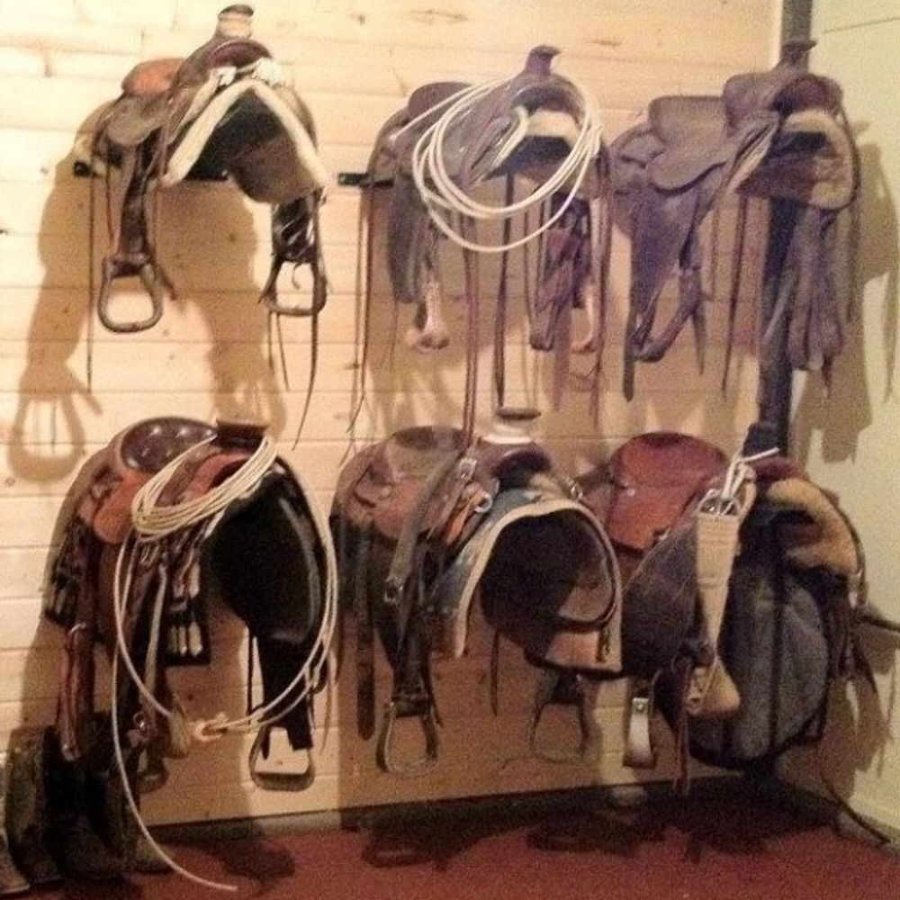 Martin Ranch, Wall Mounted Saddle Rack