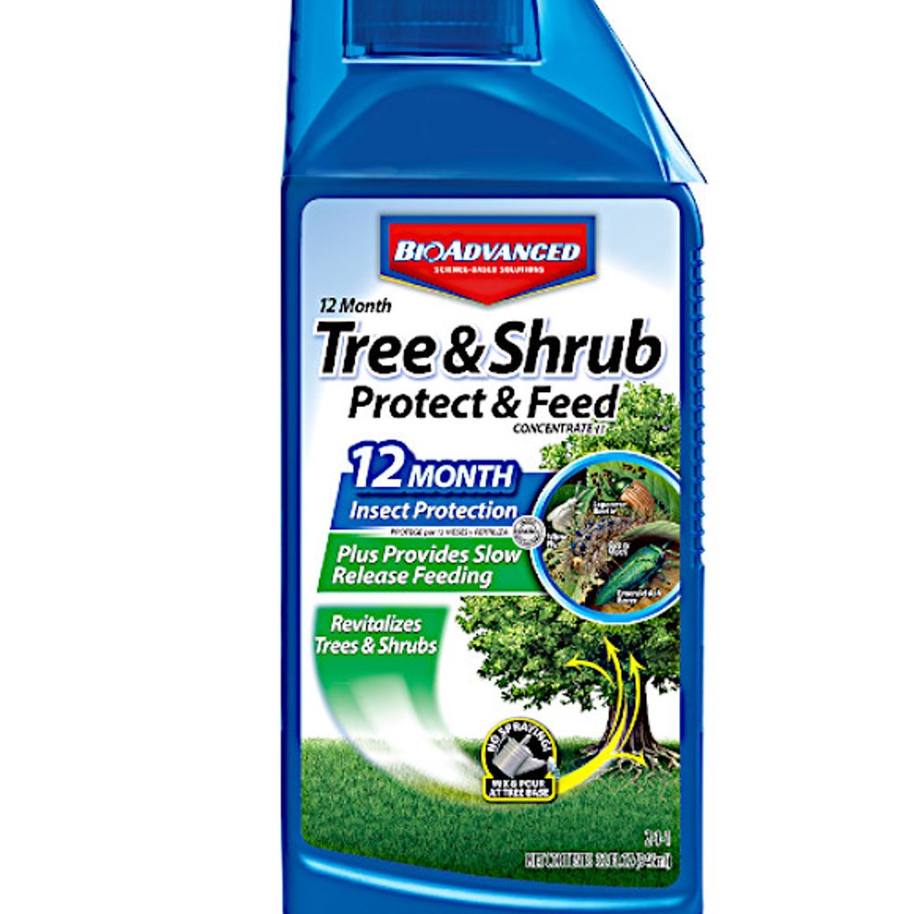 BioAdvanced Tree & Shrub Insect Protection & Feed Concentrate, 32 oz.
